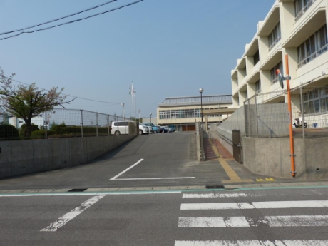 画像6